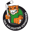 Salzgitter Icefighters