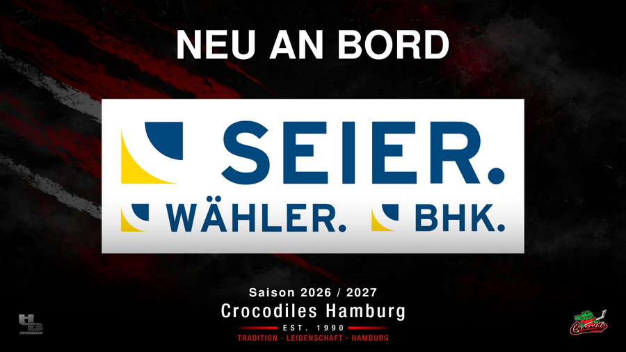 Seier Gruppe