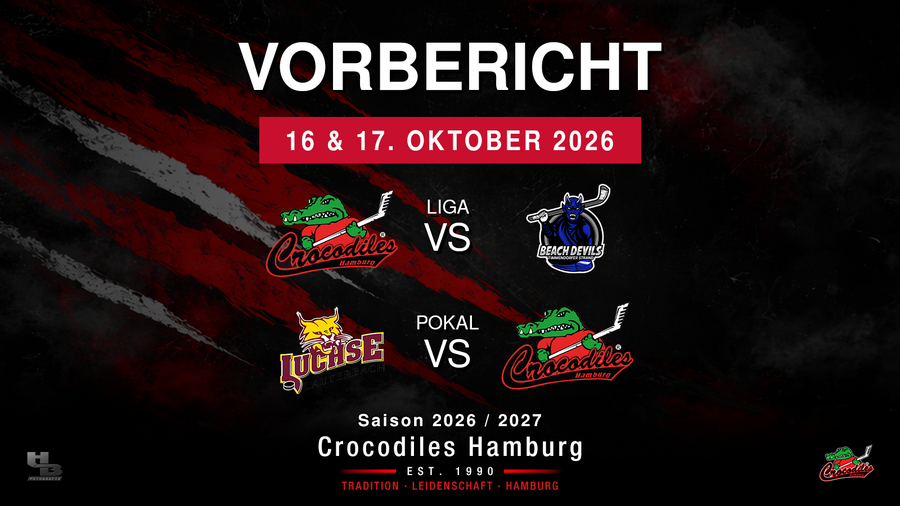 Vorbericht 