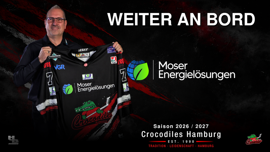 Moser Energielösungen